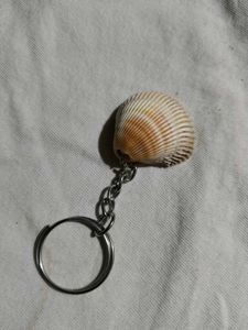 Unique Seashell Keychain