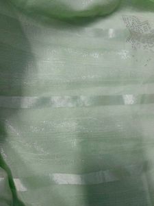 Elegant Pastel Green Embellished Saree