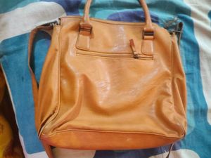 Baggit Bag