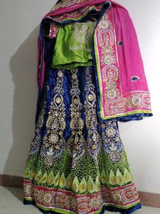 Embroidered Lehenga Saree Set
