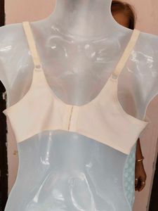 Beige Floral Lace Non-Padded Underwired Bra