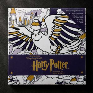 🪄❄️ Harry Potter™ Winter at Hogwarts Set