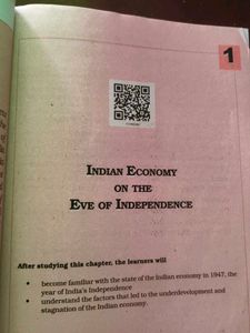 Indian Economic Development Textbook Class XI