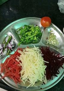 vegetable chopper