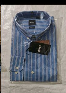 Blue Striped Button-Down Shirt