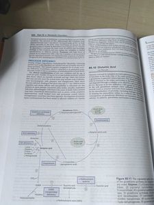 Nelson Textbook of Pediatrics, Vol. 1