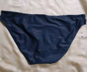 Blue Bikini panty