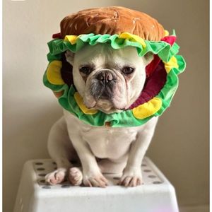 Cute Hamburger Pet Hat