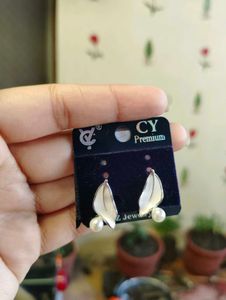 Cute Bow Pearl combo Earrings