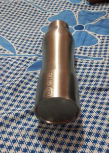 Sleek Stainless Steel Water Bottle