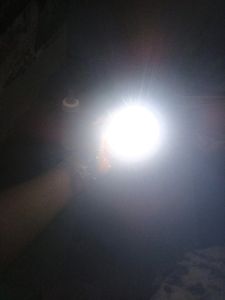 Light