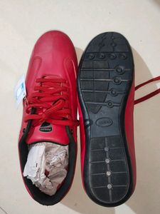 Ducati Unused Men Shoes