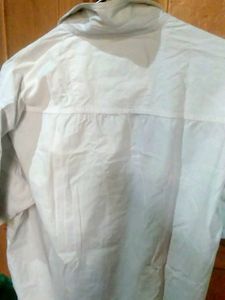 Men's Short Sleeve Button-Up Shirt