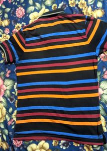 Moda Rapido Pure Cotton Polo Tshirt For Men