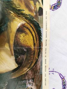 RARE HARRY POTTER Dragon Illustration Poster