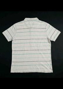 Men's Strip 6XL Polo T-Shirt