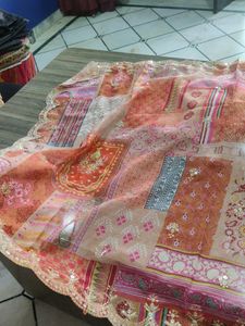 Pure Organza Work Duptta
