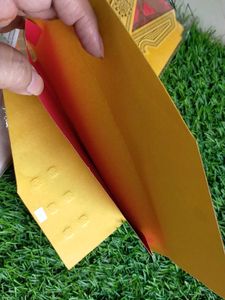 Colorful Coat design Shagun Envelopes (Set of 10)