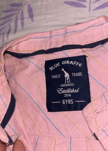 Blue Giraffe Pink Striped Shirt