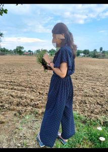 Navy Polka Dot crop top plazzo