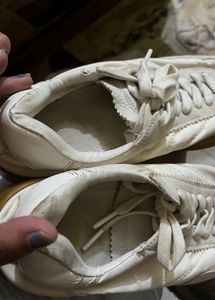 zara super sneakers