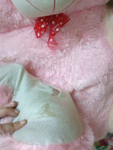 Teddy Bear