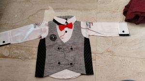 Suit