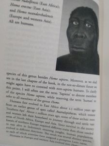 Sapiens A Brief of History o H