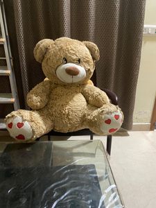 Teddy For Your Little Babies