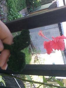Handmade Crochet Sprout Accessory
