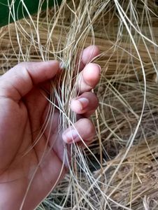 Grass Basket/Containers