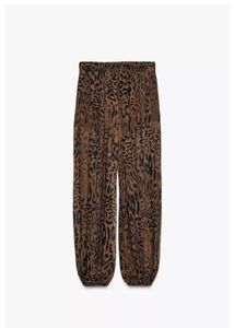 Zara limited edition Sheer Animal Print Pants