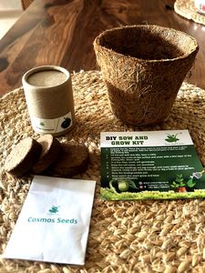 DIY Sow and Grow Kit - Cosmos Seeds