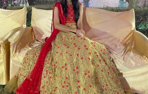 Beautiful Lehnga