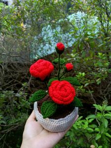 Crocheted Red Rose Plant Pot