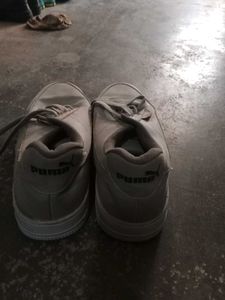 Branded Shoes