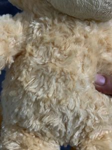 Cute Teddy Bear Plush Toy