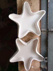 New launched star fish trays x2