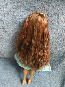 Barbie Dream besties Doll