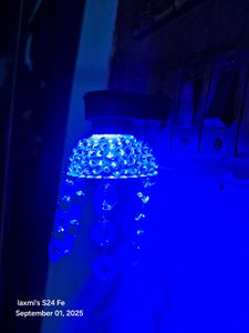 Cutie Small Lamps