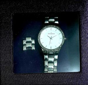 Skagen Denmark Women's Watch Steel