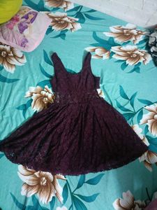 Elegant Lace Fit & Flare Dress