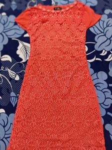 Coral Lace Fit &amp; Flare Dress