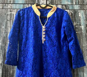 Net Embroidered Straight Kurti