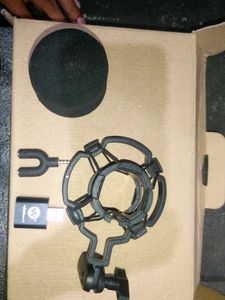 WR BW 800 condenser microphone