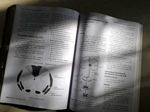 Medical Physiology textbook