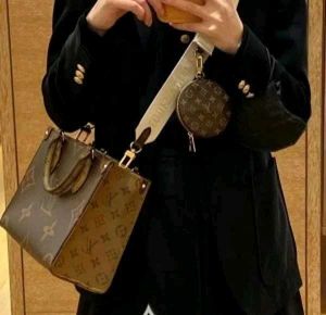Louis Vuitton Monogram Empreinte Bag