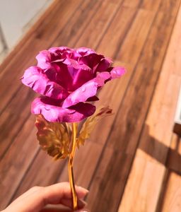 24k Golden Rose