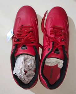 Ducati Unused Men Shoes