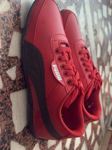 New shoes